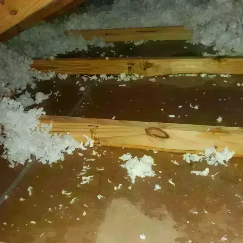 Attic Water Damage in Hemphill County, TX