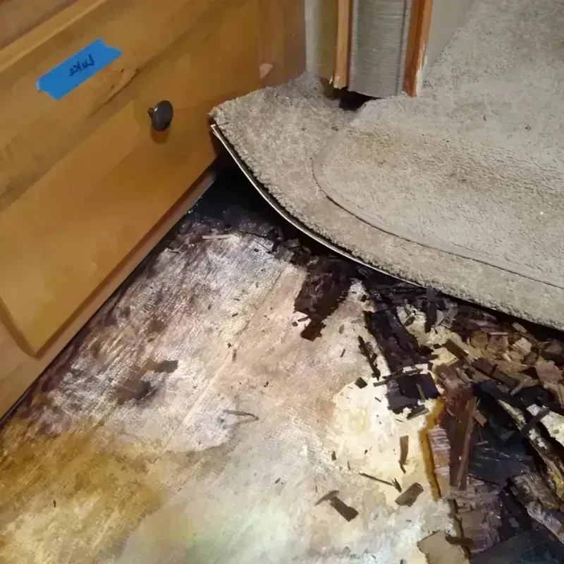 Best Wood Floor Water Damage Service in Hemphill County, TX